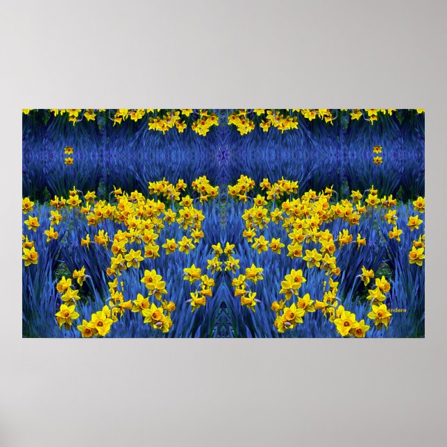 Daffodien Poster (Vorne)
