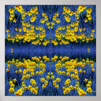 Daffodien