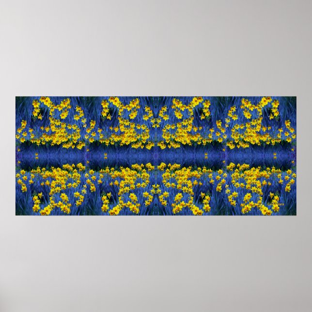 Daffodien Poster (Vorne)