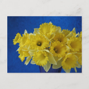 Daffodien Postkarte