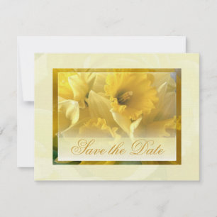 Daffodien Save the Date 2 Einladung