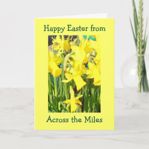 Daffodien über die Miles Oster Feiertagskarte