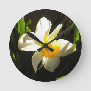 Daffodil At Daybreak Wall Clock Runde Wanduhr