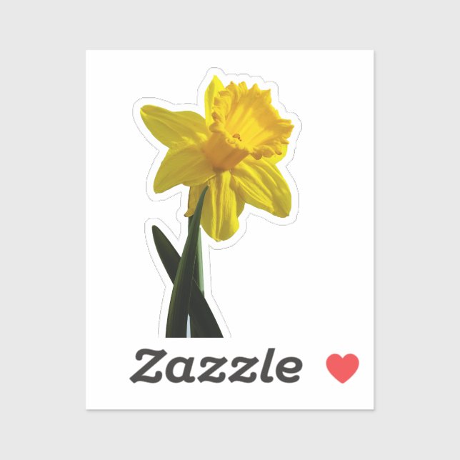Daffodil Aufkleber (Blatt)