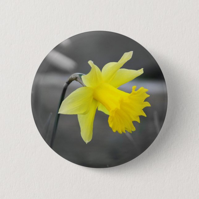 Daffodil Button (Vorderseite)