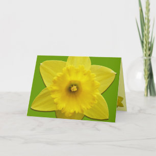 Daffodil Cards Personalized Daffodil Flower Cards Feiertagskarte