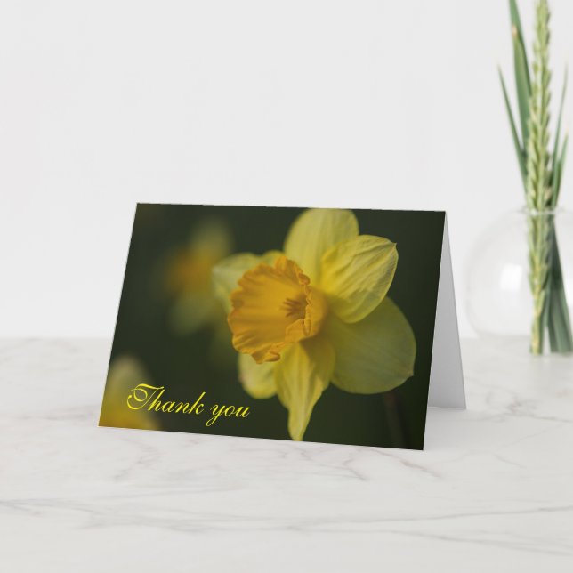 Daffodil Danke-Card Dankeskarte (Vorderseite)