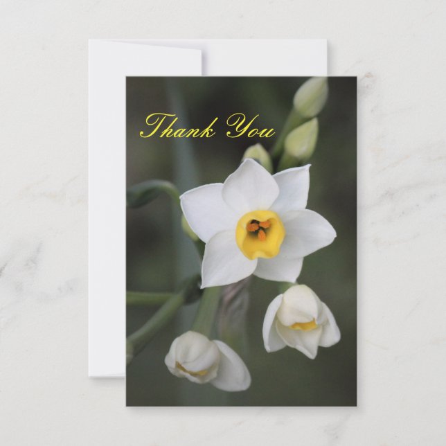 Daffodil Danke-Card Dankeskarte (Vorderseite)