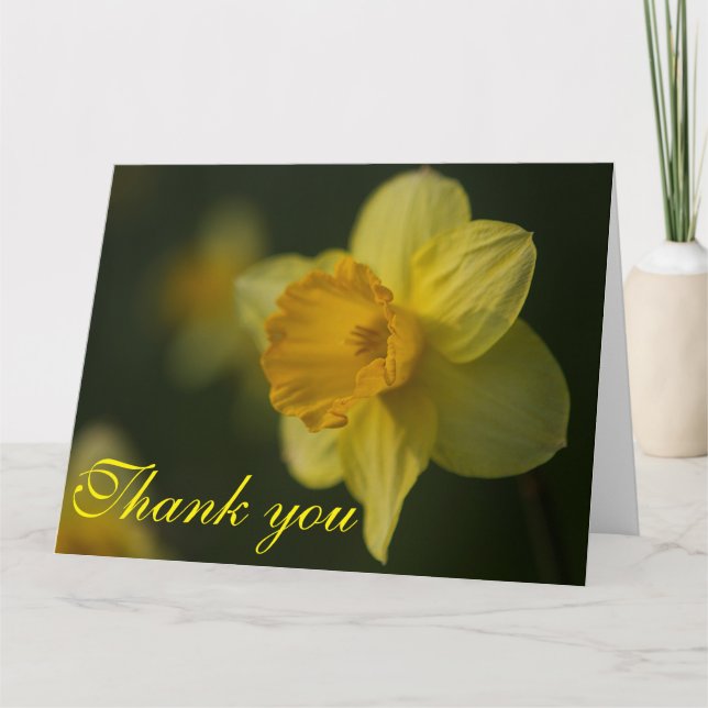 Daffodil Dankeskarte (Vorderseite)