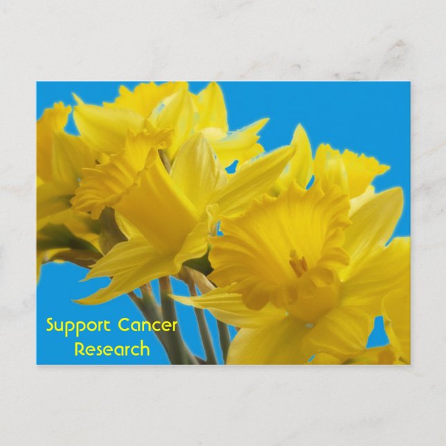 Daffodil Days Postkarte (Vorderseite)