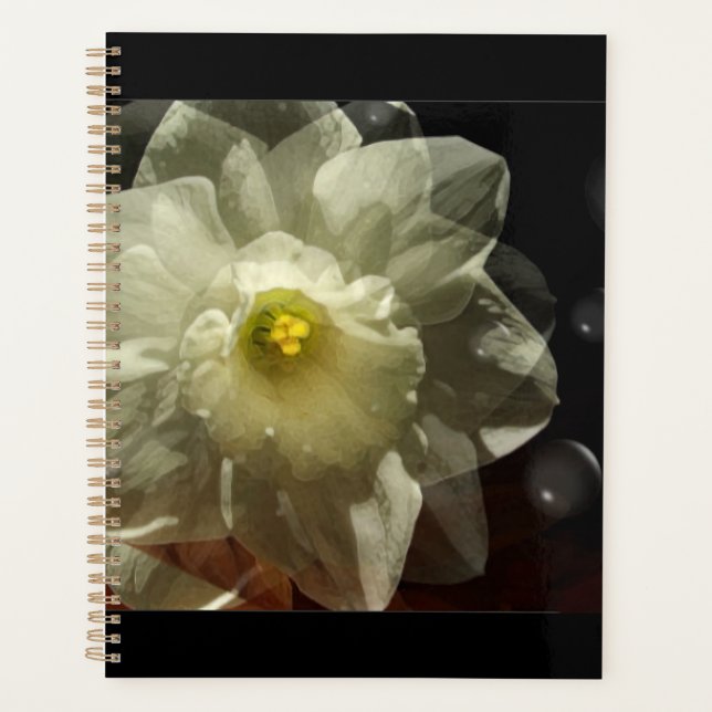 Daffodil Dreams Planer (Vorderseite)