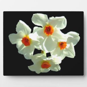 Daffodil Flowers on Gift Products Fotoplatte