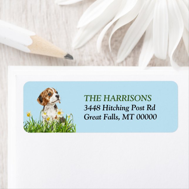 Daffodil Garden Beagle Dog Welpe (Insitu)