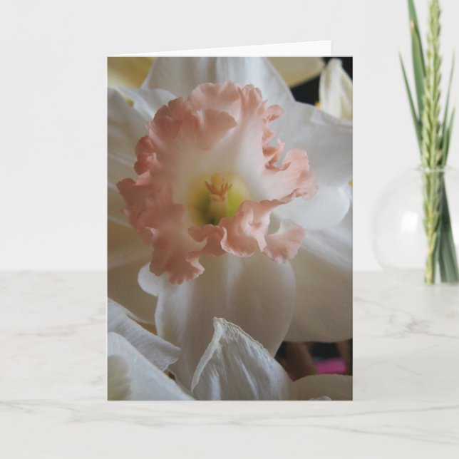 Daffodil Karte (Vorderseite)
