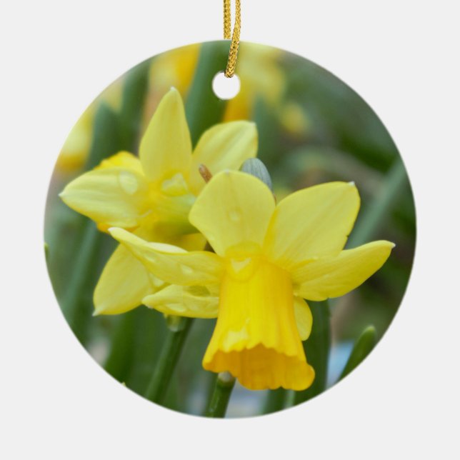 Daffodil Keramik Ornament (Vorne)