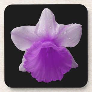 Daffodil Lila Cork Untersetzer