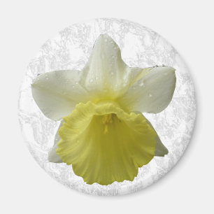 Daffodil Magnet