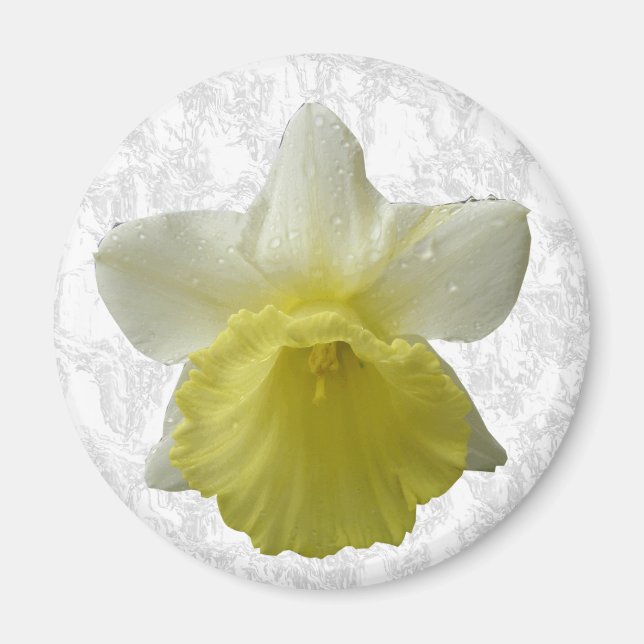 Daffodil Magnet (Vorne)