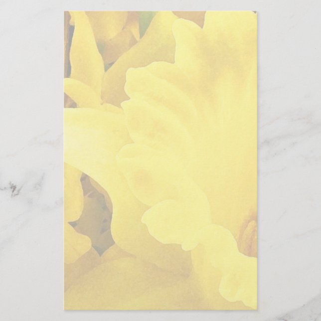 Daffodil Petals Briefpapier (Vorderseite)