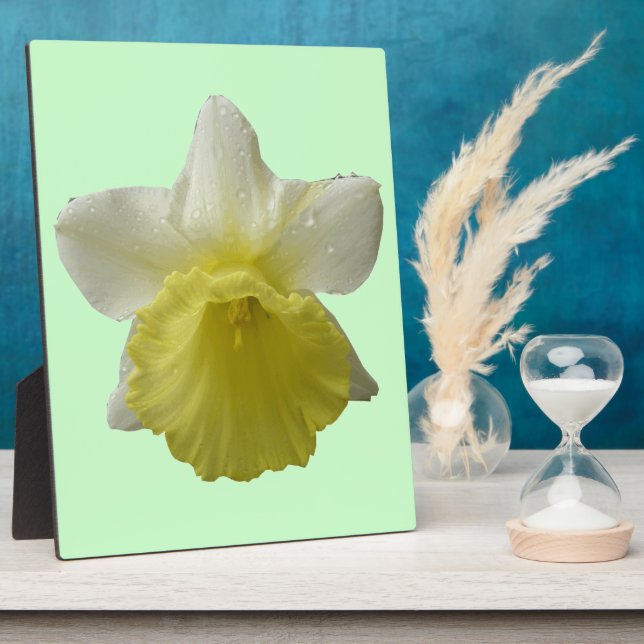 Daffodil Plaque Fotoplatte (Seite)