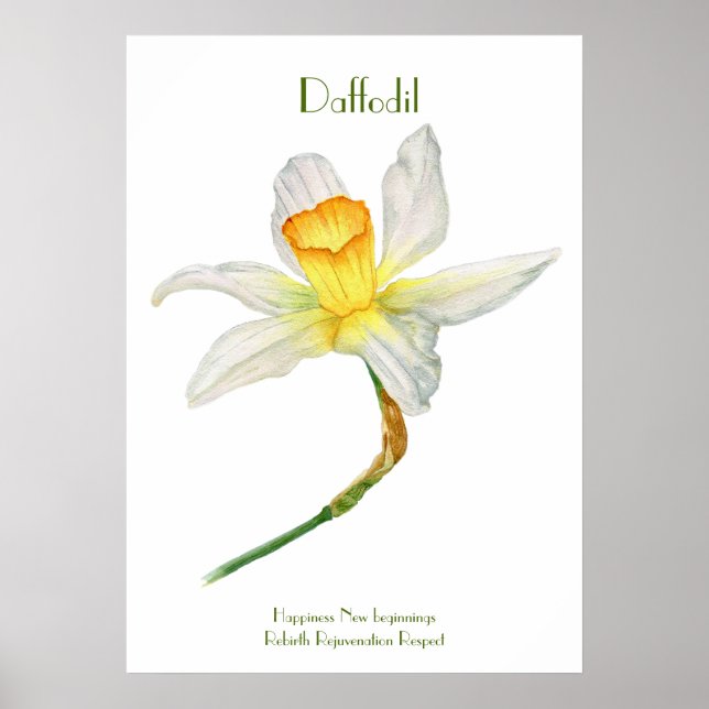 Daffodil Print, Value Poster Paper (Matte) (Vorne)