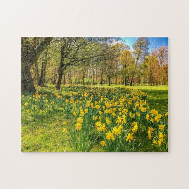 DAFFODIL PUZZLE (Horizontal)