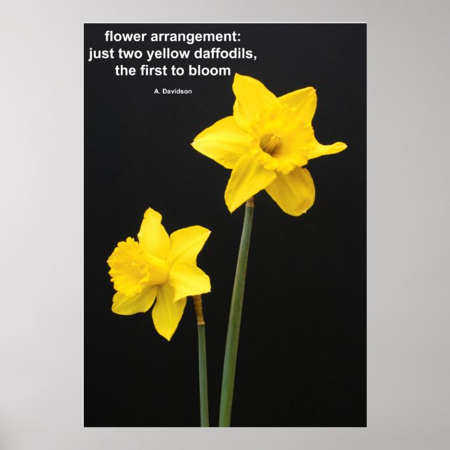 Daffodil-Quote Poster (Vorne)