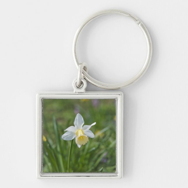 Daffodil Schlüsselanhänger (Vorne)