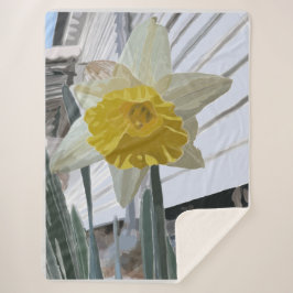 Daffodil Sherpa Große Decke Sherpadecke