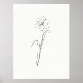 Daffodil Sketch Print Poster