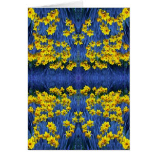 Daffodil Spring Fantasy