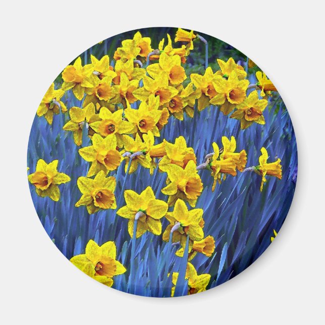 Daffodil Spring Fantasy Magnet (Vorne)