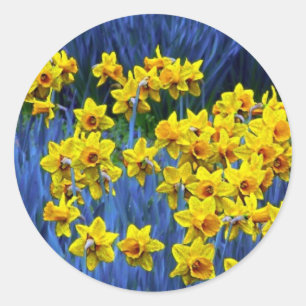 Daffodil Spring Fantasy Runder Aufkleber