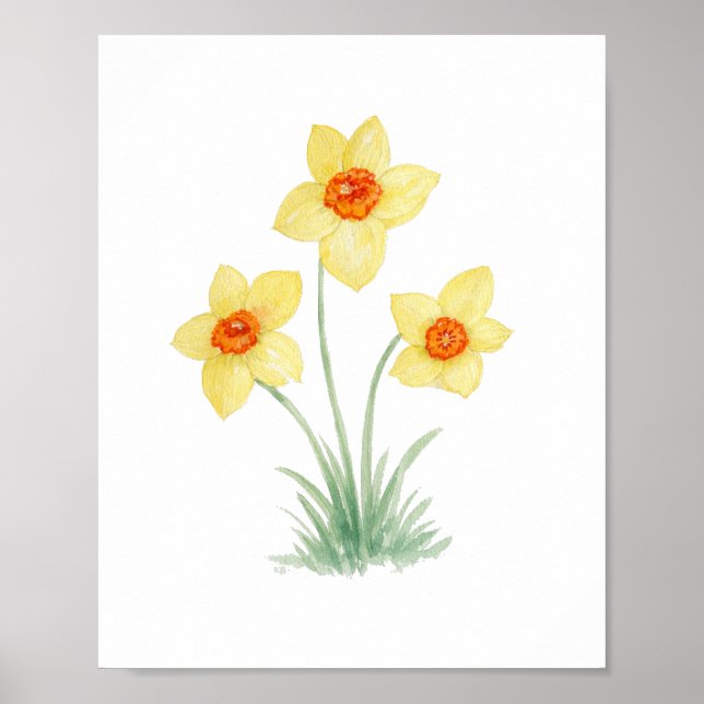 Daffodil Spring Flower Painting Garden Poster (Vorne)
