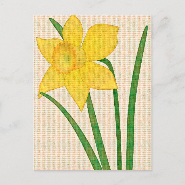 Daffodil Springtime Yellow Blume Design Postkarte (Vorderseite)