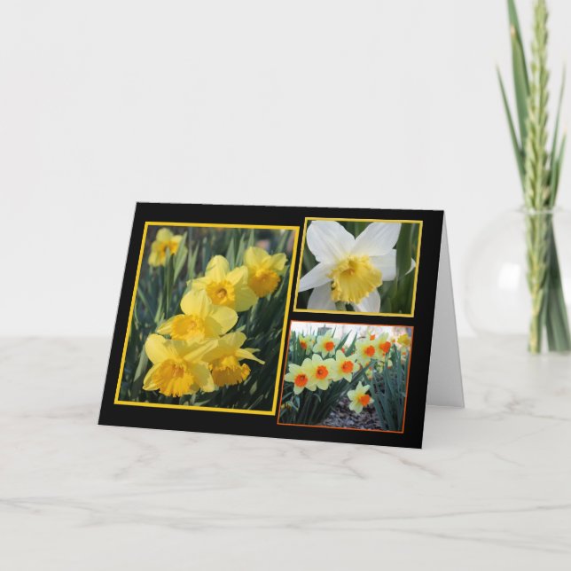 Daffodil Trio Karte (Vorderseite)
