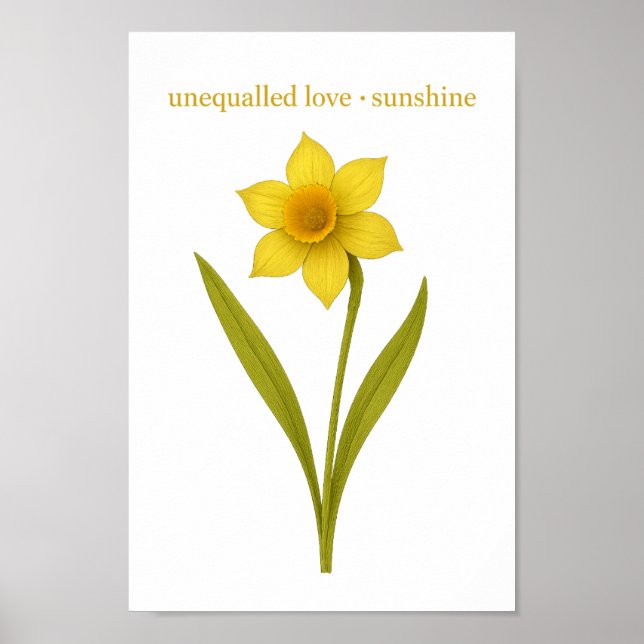 Daffodil — Ungeachtete Liebe, Sonnenschein Poster (Vorne)