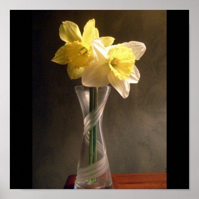 Daffodil Vase Poster (Vorne)