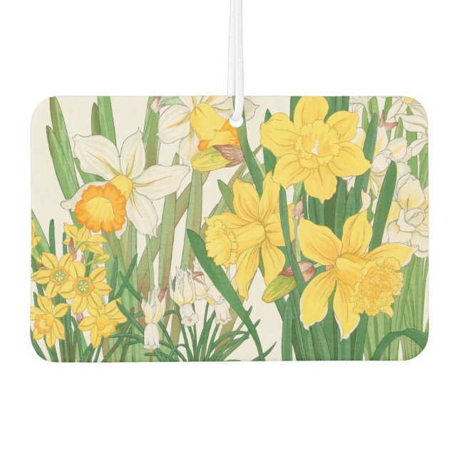 Daffodil Woodblock Painting, Tanigami Kônan, 1917 Autolufterfrischer (Vorderseite)