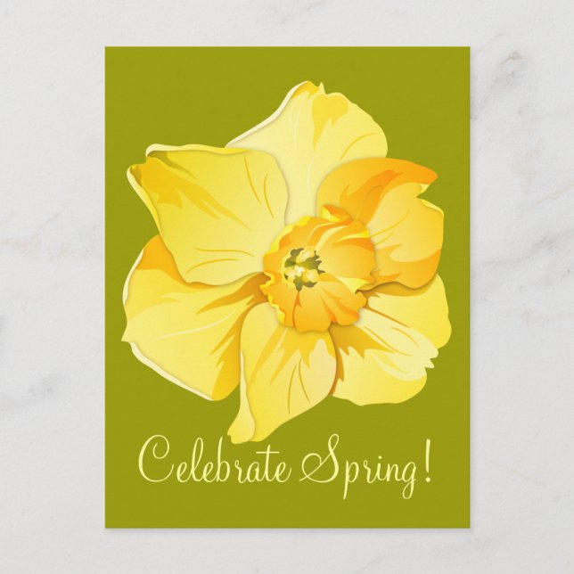 Daffodil Yellow Kurz Trumpet Spring Blume Postkarte (Vorderseite)
