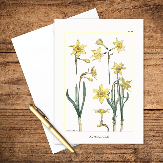 Daffodils Botanisch von Maurice Verneuil Blank Karte (Von Creator hochgeladen)