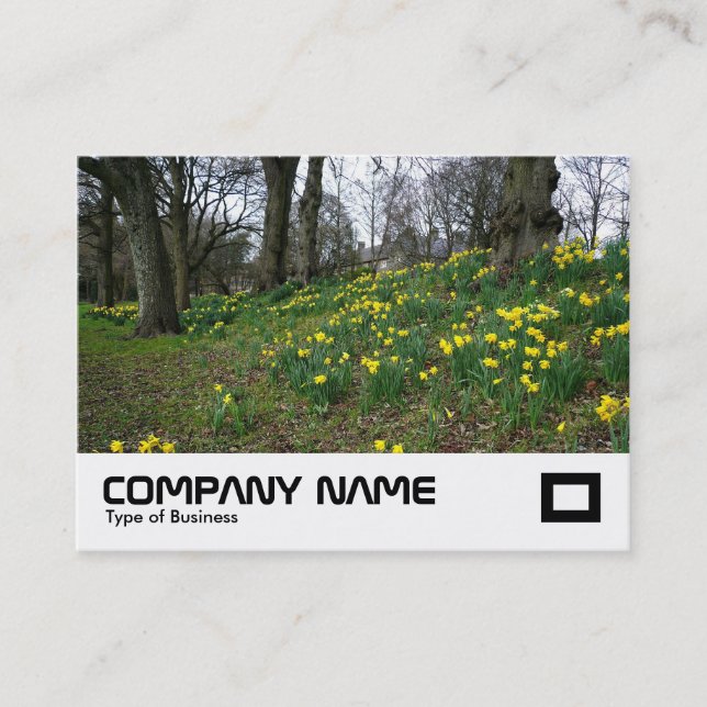 Daffodils Bute Park, Cardiff Visitenkarte (Vorderseite)