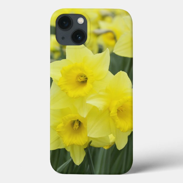 Daffodils Case-Mate iPhone Hülle (Rückseite)