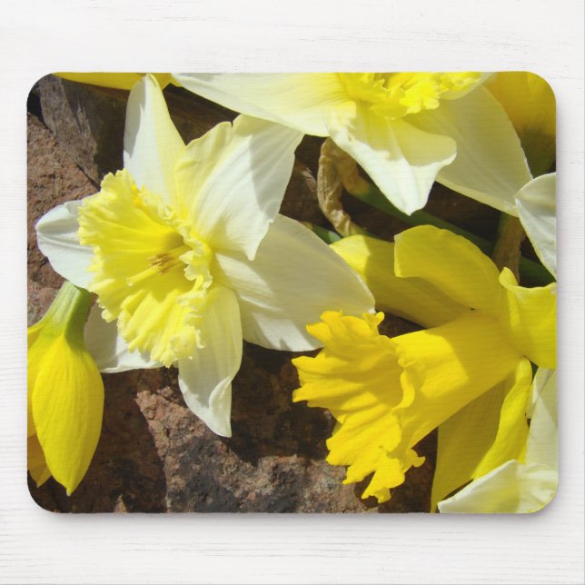 DAFFODILS Daffodische Blume MOUSEPAD MAUSPAD (Vorne)