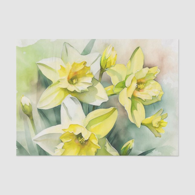 DAFFODILS Dekorationspapier Seidenpapier (Vorderseite)
