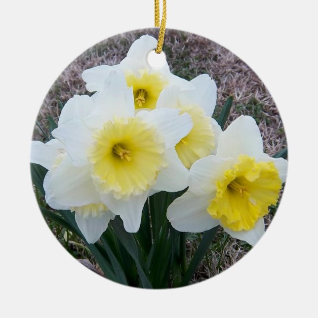 Daffodils-Gedächtnisdekoration Keramikornament (Vorne)