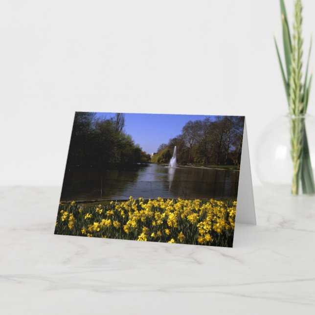 Daffodils St James's Park London Dankeskarte (Vorderseite)