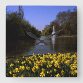 Daffodils St James's Park London Quadratische Wanduhr