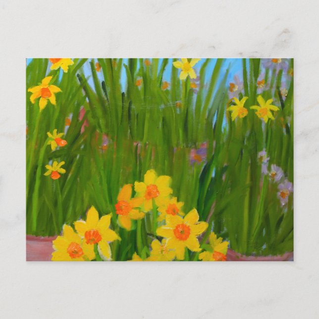 Daffodils: Susan Payne-Trutna Postkarte (Vorderseite)