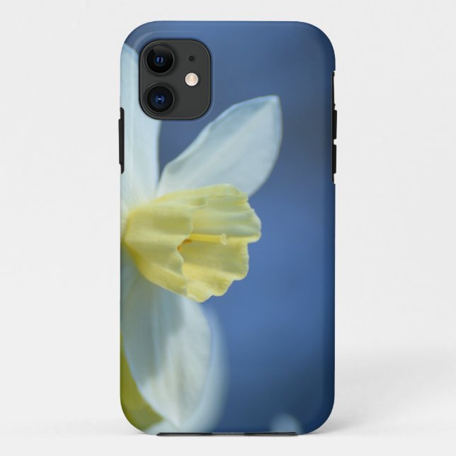 Daffodin im Frühjahr Case-Mate iPhone Hülle (Rückseite)